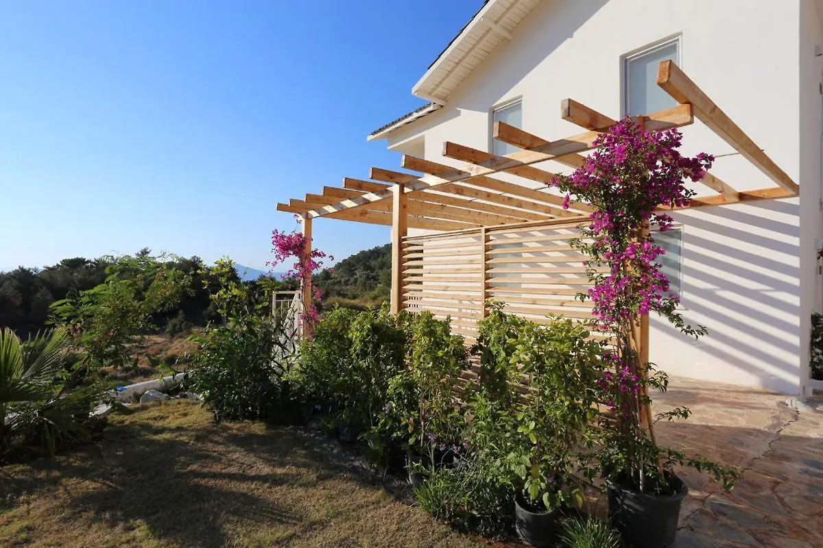 Bed and breakfast Faralya Tuz Apart Hotel